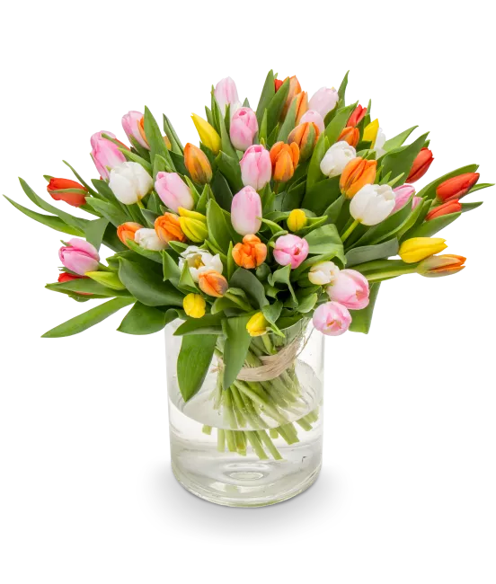 Bouquet of tulips